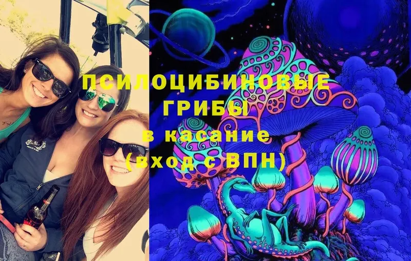 Галлюциногенные грибы Magic Shrooms  Петровск 